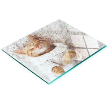 shumee Kaljena steklena plošča z dekorativnim vzorcem pulover z muckami 60x52 cm