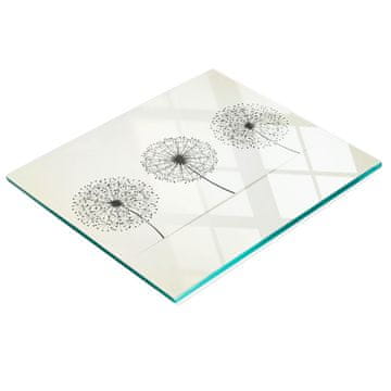 shumee Kaljena večnamenska dekorativna steklena tabla z motivom regrata 60x52 cm