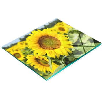 shumee Elegantna in trpežna steklena tabla s potiskom sončničnega polja 60x52 cm