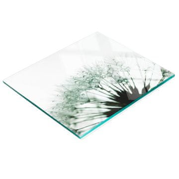 shumee Kaljena večnamenska dekorativna steklena tabla z motivom regrata 60x52 cm