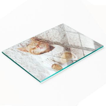 shumee Kaljena steklena plošča z dekorativnim vzorcem pulover z muckami 80x52 cm