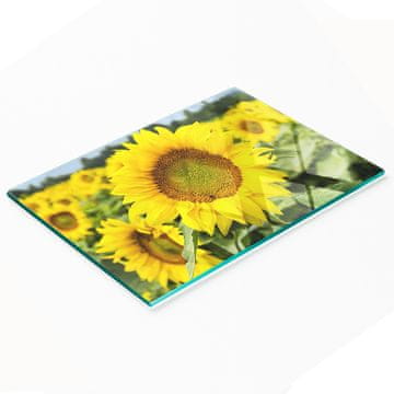 shumee Elegantna in trpežna steklena tabla s potiskom sončničnega polja 80x52 cm