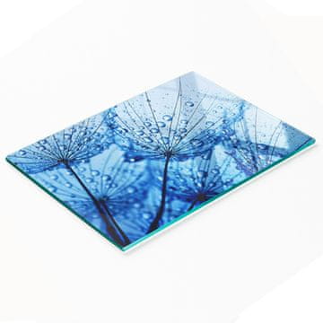 shumee Kaljena večnamenska dekorativna steklena tabla z motivom regrata 80x52 cm