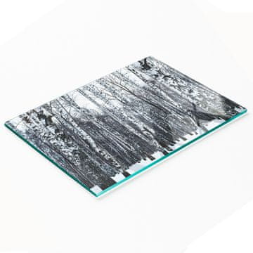 shumee Dekorativna steklena deska za rezanje in serviranje Zimska breza 80x52 cm