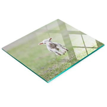 shumee Elegantna in trpežna steklena tabla z vzorcem sladkega jagnjeta 60x52 cm