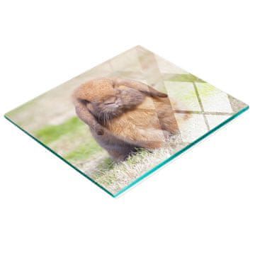shumee Dekorativna steklena deska za rezanje in serviranje Sweet Bunny 60x52 cm