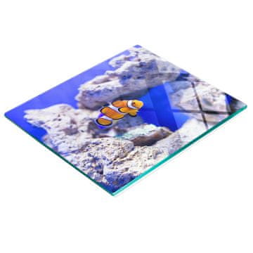 shumee Dekorativna steklena kuhinjska deska za rezanje Nemo Coral Reef 60x52 cm