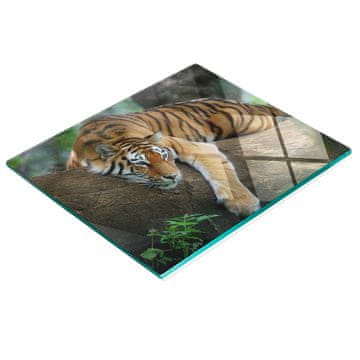 shumee Elegantna in trpežna steklena tabla s potiskom tigra na drevesu 60x52 cm