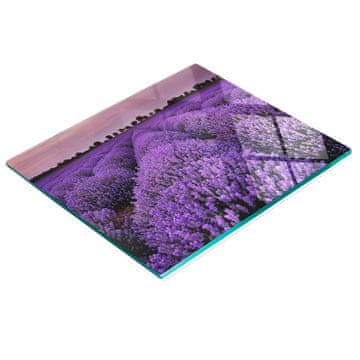 shumee Dekorativna steklena servirna deska za prigrizke iz polja sivke 60x52 cm