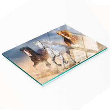 shumee Dekorativna steklena kuhinjska deska za rezanje Konji v puščavi 80x52 cm