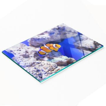 shumee Dekorativna steklena kuhinjska deska za rezanje Nemo Coral Reef 80x52 cm