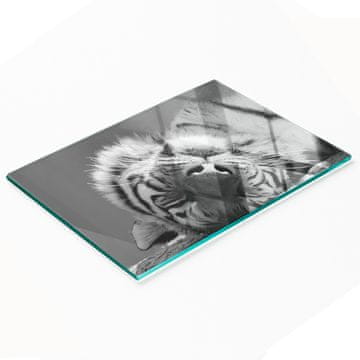 shumee Steklena dekorativna servirna deska za prigrizke Sleeping Tiger 80x52 cm