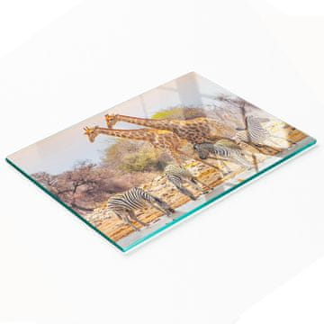 shumee Dekorativna steklena kuhinjska deska za rezanje Žirafa in Zebra 80x52 cm