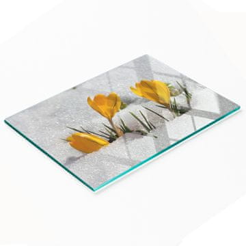 shumee Dekorativna steklena kuhinjska deska za rezanje Krokusi v snegu 80x52 cm