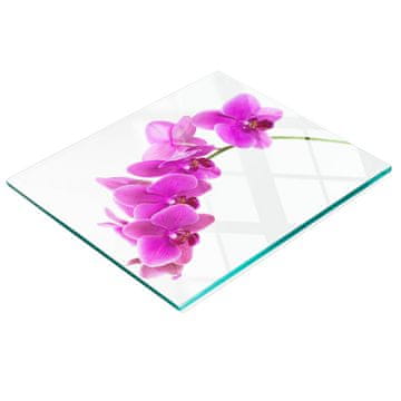 shumee Kuhinjska večnamenska dekorativna steklena tabla Roza orhideja 60x52 cm