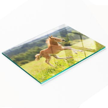 shumee Dekorativna steklena kuhinjska deska za rezanje Galloping Foal 80x52 cm