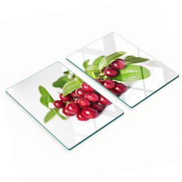 shumee Komplet dveh dekorativnih steklenih kuhinjskih desk Brusnica 2x40x52 cm