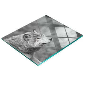 shumee Večnamenska dekorativna steklena tabla z vzorcem sivega volka 60x52 cm