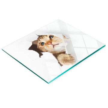 shumee Kaljena večnamenska dekorativna steklena tabla Mačka v luknji 60x52 cm