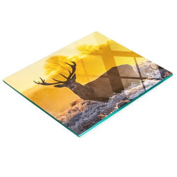 shumee Dekorativna steklena kuhinjska deska Sončni vzhod nad jelenom 60x52 cm