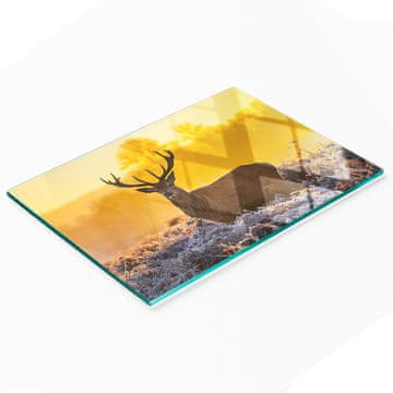 shumee Dekorativna steklena kuhinjska deska Sončni vzhod nad jelenom 80x52 cm