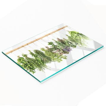 shumee Steklena kuhinjska deska za rezanje z grafiko zeliščne vrvice 80x52 cm