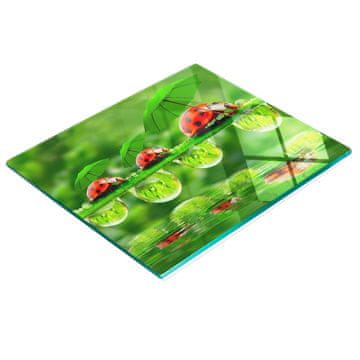 shumee Dekorativna kaljena steklena kuhinjska deska za rezanje Pikapolonica 60x52 cm