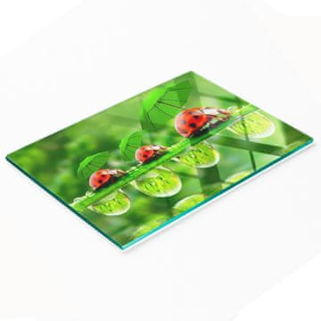 shumee Dekorativna kaljena steklena kuhinjska deska za rezanje Pikapolonica 80x52 cm