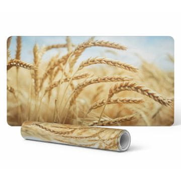 shumee Univerzalna zaščitna podloga za uši računalniške opreme na terenu 120x60 cm