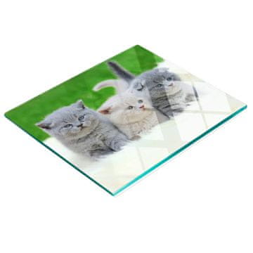 shumee Steklena kuhinjska deska za rezanje z grafiko odeje s tremi mačkami 60x52 cm