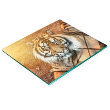 shumee Dekorativna steklena deska za rezanje in serviranje Bengalski tiger 60x52 cm