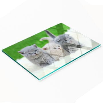 shumee Steklena kuhinjska deska za rezanje z grafiko odeje s tremi mačkami 80x52 cm