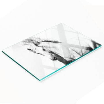 shumee Kuhinjska deska iz kaljenega stekla z dekorativno grafiko Beli konj 80x52 cm