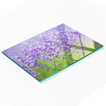 shumee Kuhinjska večnamenska dekorativna tabla iz kaljenega stekla, sivka, 80x52 cm