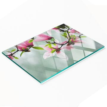 shumee Dekorativna steklena kuhinjska deska za rezanje z grafiko magnolije 80x52 cm