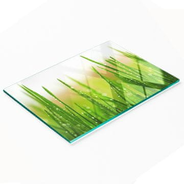 shumee Dekorativna kuhinjska steklena deska za rezanje in serviranje Trava 80x52 cm
