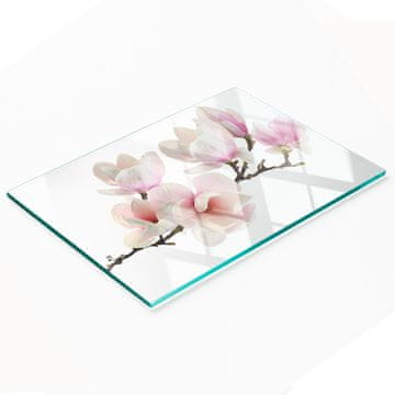 shumee Dekorativna steklena kuhinjska deska za rezanje z grafiko magnolije 80x52 cm