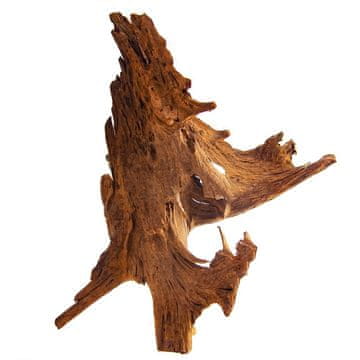 Terrario Filipinski klasični naplavljeni les - vodni naplavljeni les XL 40 cm - 50 cm