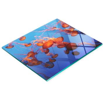 shumee Kuhinjska večnamenska dekorativna tabla iz kaljenega stekla meduza 60x52 cm