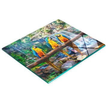 shumee Dekorativna steklena deska za rezanje in serviranje Papiga na veji 60x52 cm