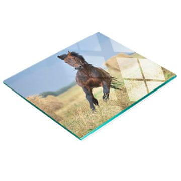 shumee Kuhinjska večnamenska dekorativna steklena tabla Galopirajoči konj 60x52 cm