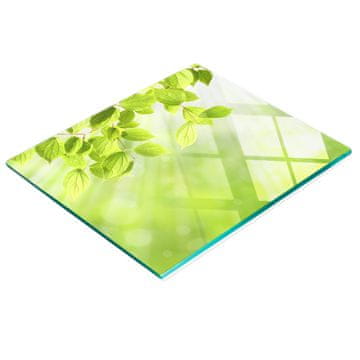 shumee Kuhinjska večnamenska dekorativna tabla iz kaljenega stekla, listi 60x52 cm