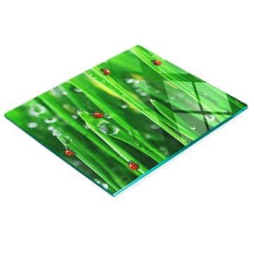 shumee Dekorativna steklena kuhinjska deska za rezanje Pikapolonica trava 60x52 cm