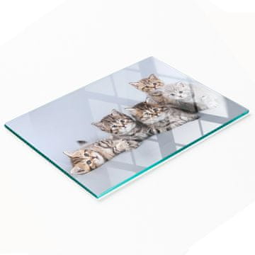 shumee Trpežna in elegantna steklena kuhinjska deska z vzorcem petih mačk 80x52 cm