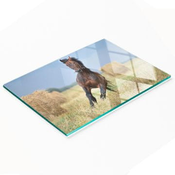 shumee Kuhinjska večnamenska dekorativna steklena tabla Galopirajoči konj 80x52 cm