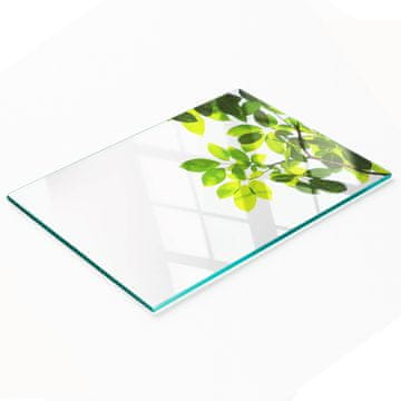 shumee Kuhinjska večnamenska dekorativna tabla iz kaljenega stekla, listi 80x52 cm