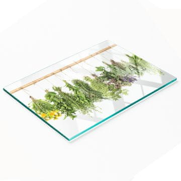 shumee Kuhinjska večnamenska dekorativna steklena tabla z zeliščnim nizom 80x52 cm