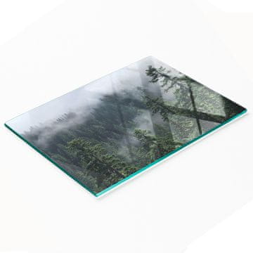 shumee Dekorativna kuhinjska deska za rezanje Kaljeno steklo Gozdna megla 80x52 cm