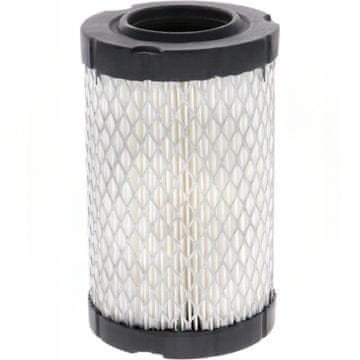 Briggs & Stratton 4145 Zračni filter 796031 594201 590825 14,5-24 KM NEMŠKI