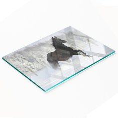 shumee Dekorativna steklena deska za rezanje z grafiko snežnega konjička 80x52 cm